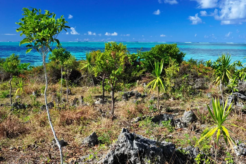 Visiter lile aux Aigrettes a lile Maurice Visiter l'île aux Aigrettes à l'île Maurice
