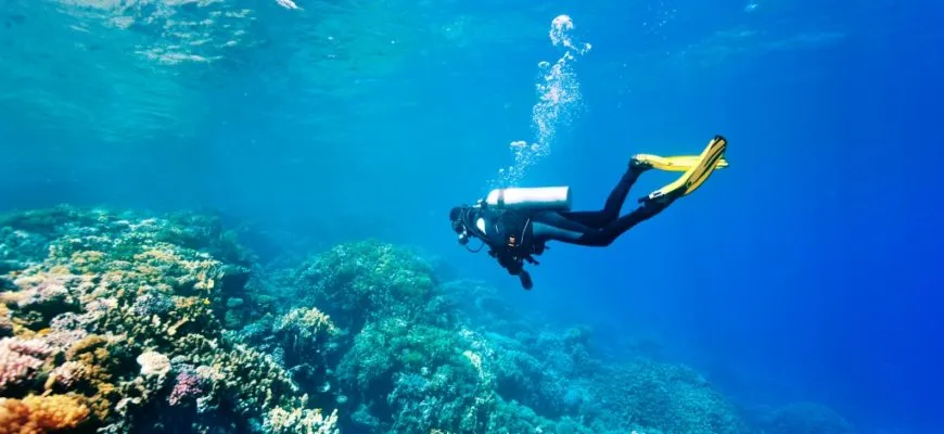 plongee sous marine ile maurice les spots de plongée incontournables à l'Île Maurice