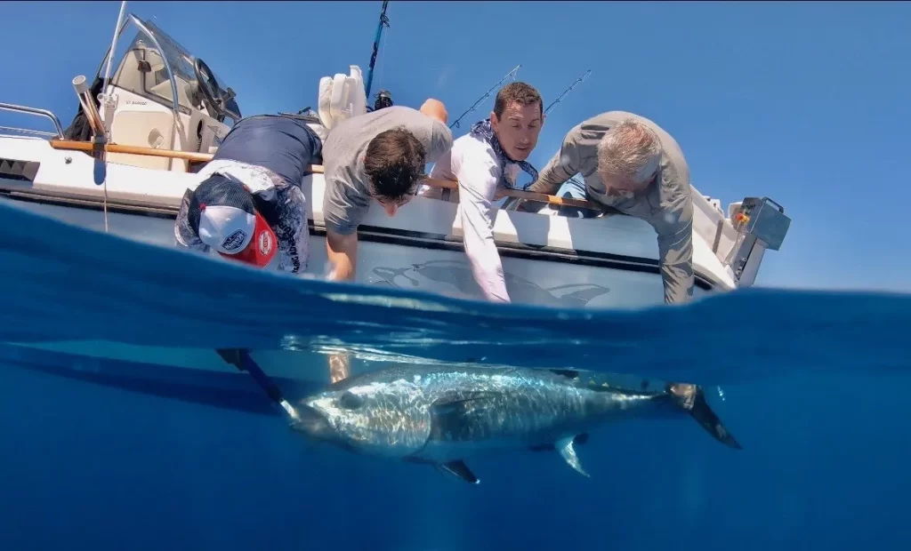 initiation peche au gros ile Maurice initiation peche au gros ile Maurice